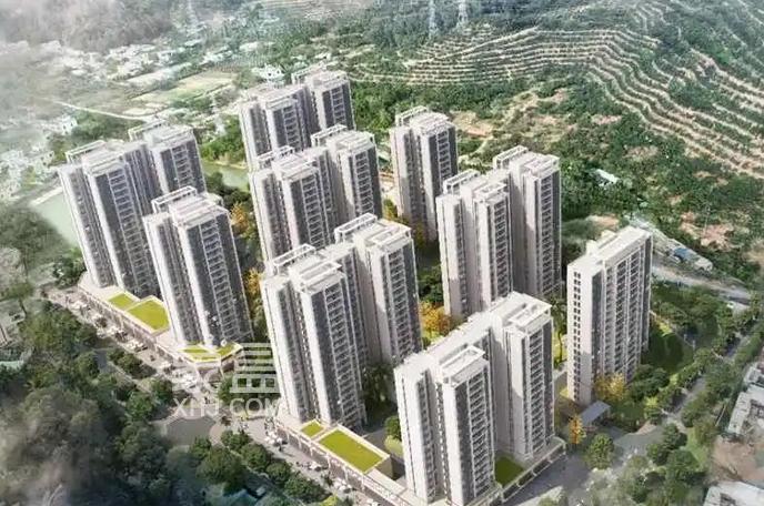 海罗安置区（一期）工程进入冲刺阶段：双楼7月封顶 年底首批交付