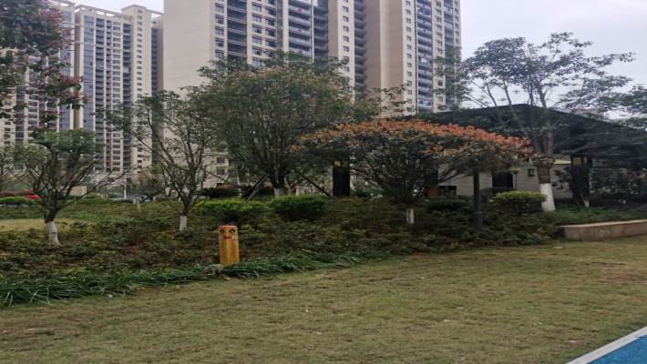 沙盘选房全攻略：从比例尺到实景，教你精准避坑选好房