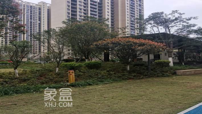 沙盘选房全攻略：从比例尺到实景，教你精准避坑选好房