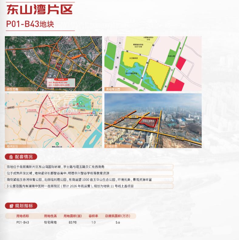 今年河西这些片区要卖地！“滨江、梅溪湖、洋湖”均在列！