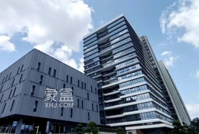河西新增一处城市文化地标！6号线正地铁口！