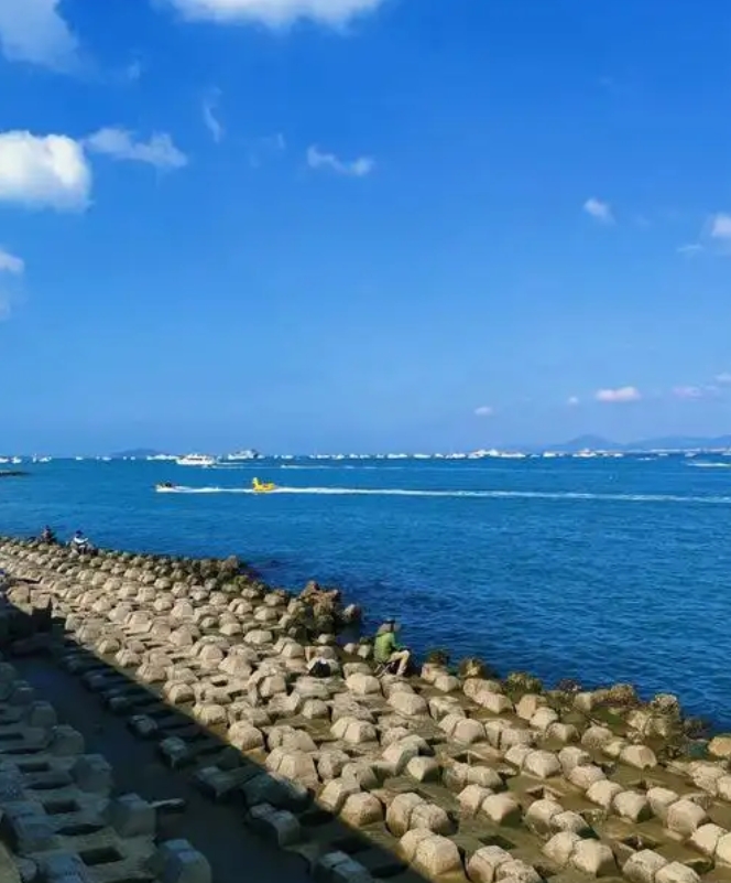 绿满鹿城！三亚的这份“生态成绩单”亮眼夺目
