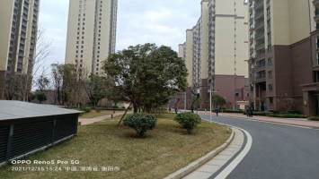 新桥花园小区测评：新桥花园房价贵不贵，值得购买吗