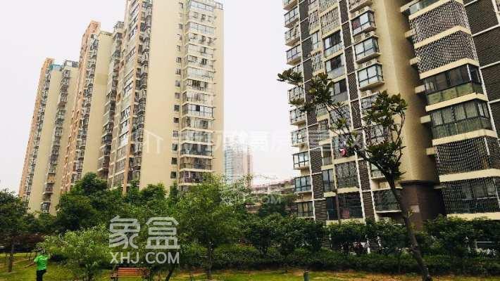 公寓VS住宅：哪个更保值？地段为王还是需求制胜？