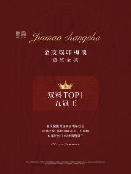 金茂璞印梅溪