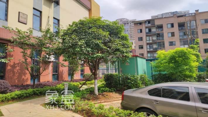雅士林湘苑二期小区测评：衡阳高端改善型住宅的标杆项目