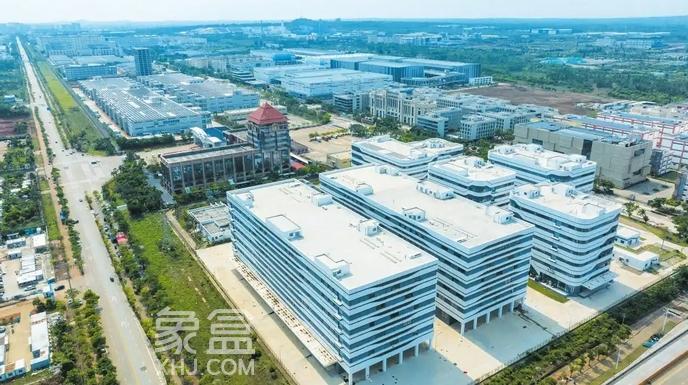 海口综保区释放强劲人才引力，打造产才融合新高地