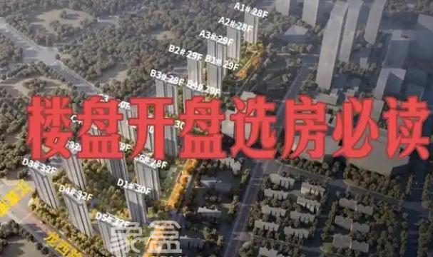 开盘选房全攻略：注意事项与具体流程
