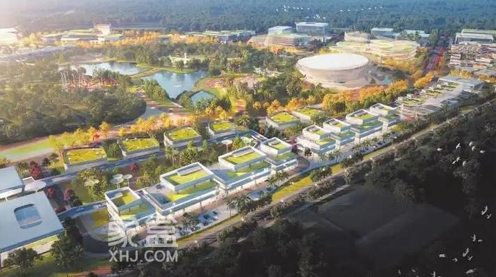 海口：以气候适应型城市实践引领绿色革命