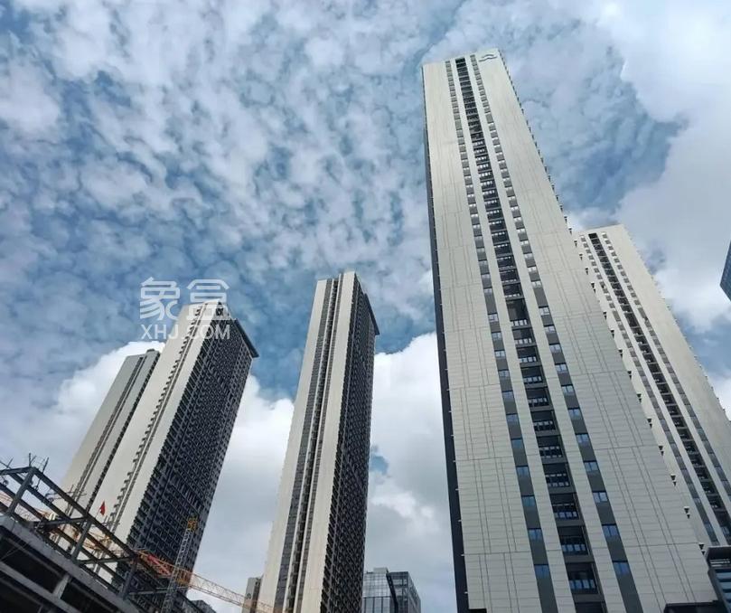 百强房企上半年销售分化加剧：近30家逆势增长，央国企与核心城市成关键支柱‌