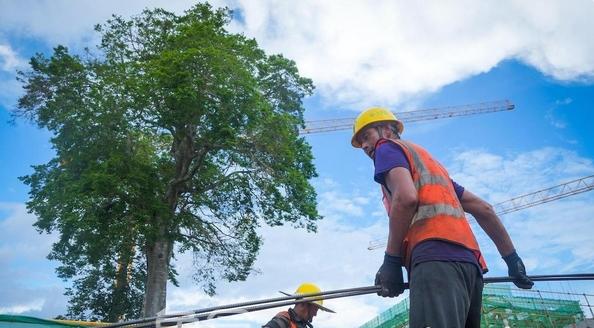 三亚国际免税城三期项目5栋单体封顶 建设进入加速期