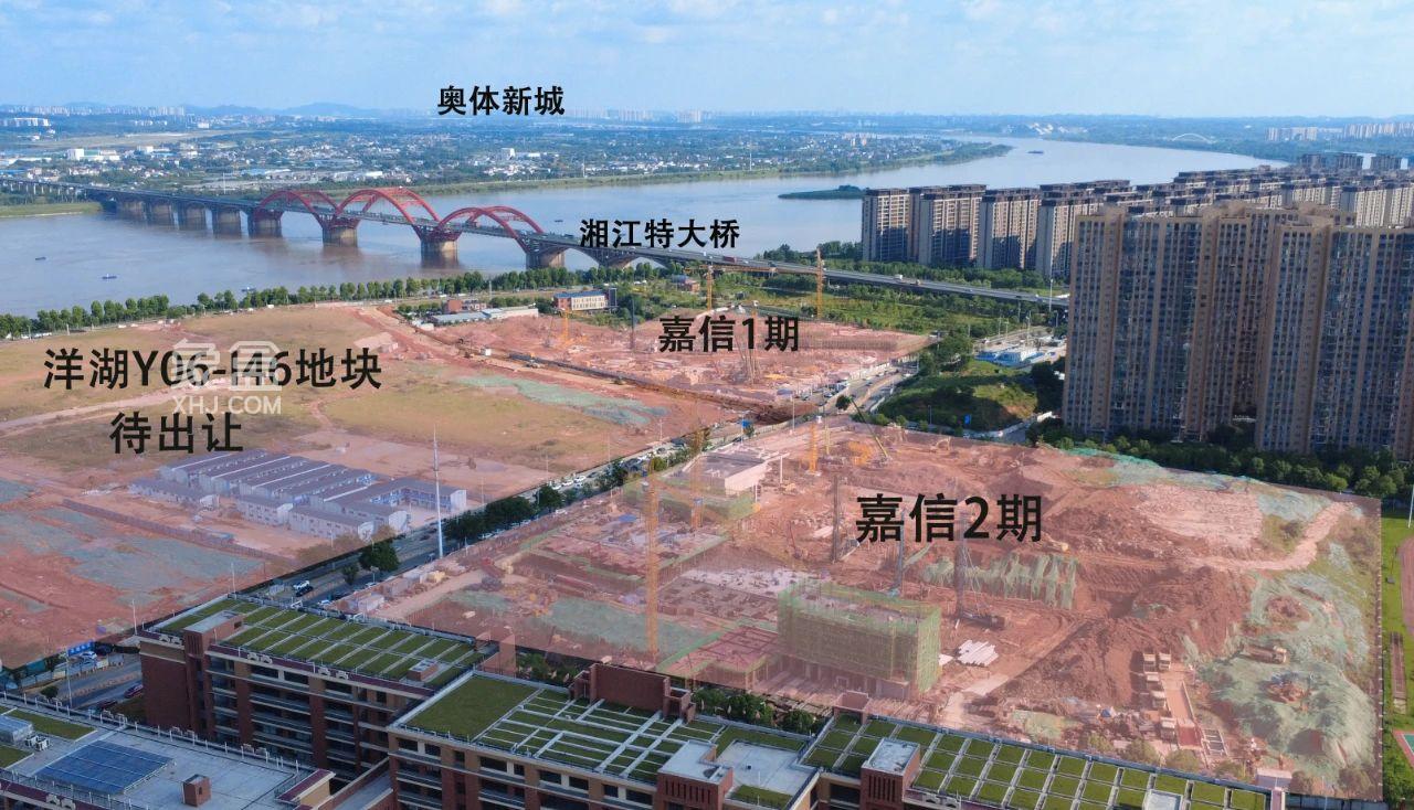 【待售】嘉信洋湖锦玺是纯新盘，展厅即将开放。
