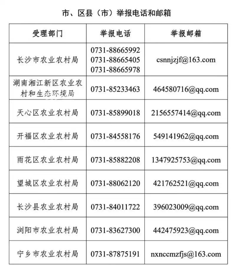 长沙现开设线索举报通道，切实整治农村违法违规建住房问题