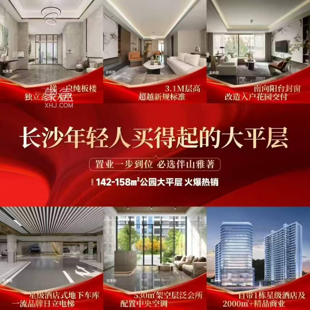 伴山雅著