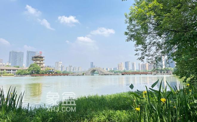 【夏日安家节】梅溪湖、洋湖、松雅湖，长沙临湖住宅小区盘点，清凉宜居！