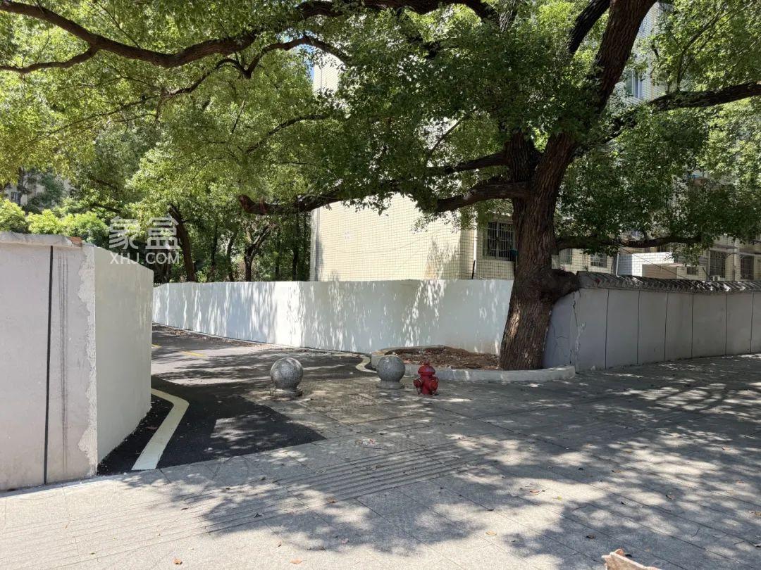 长沙树木岭保利大都汇上光路人行通道拉通，大树底下的幸福小路！