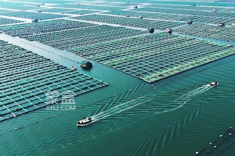 全国首个教学科研型海洋牧场在三亚建成