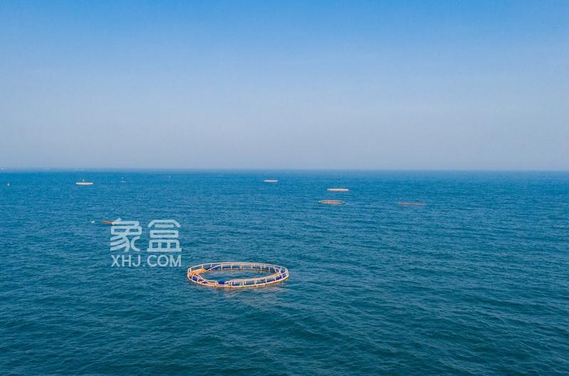 全国首个教学科研型海洋牧场在三亚建成