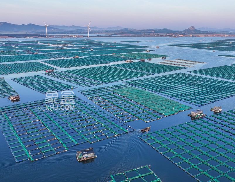 全国首个教学科研型海洋牧场在三亚建成