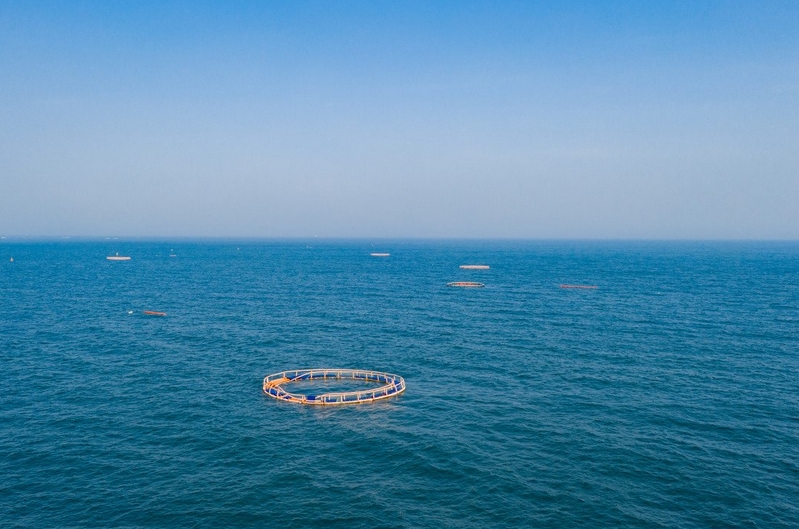 全国首个教学科研型海洋牧场在三亚建成