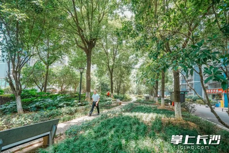 长沙体育新城白沙湾嘉园党建聚力+邻里协商，老小区逆袭和美“嘉”园！
