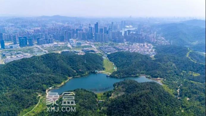 象鼻窝森林公园进入全面施工建设阶段！1年半后对外开放！