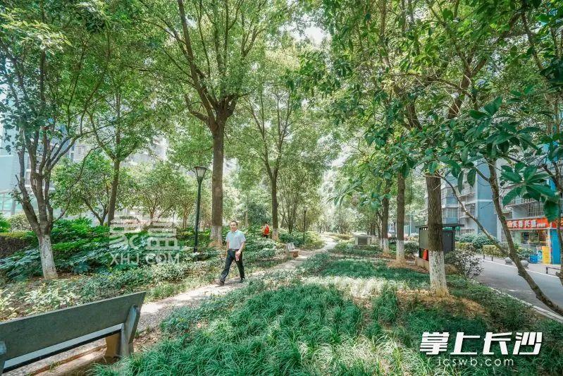 长沙体育新城白沙湾嘉园党建聚力+邻里协商，老小区逆袭和美“嘉”园！