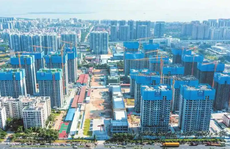 以多维"廉"动筑根基 清风护航自贸港