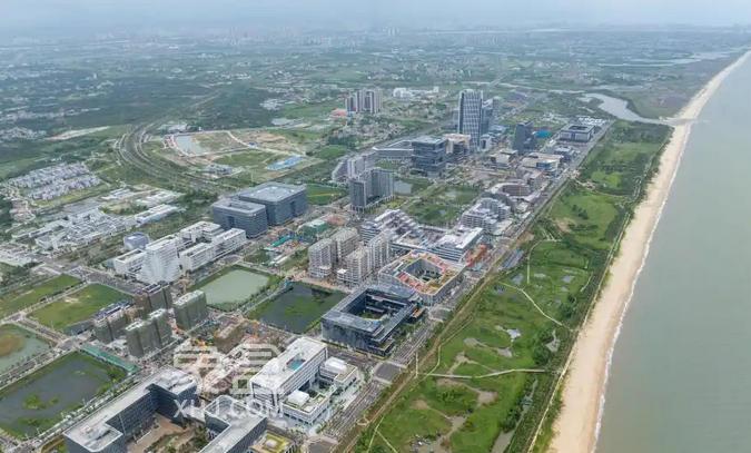 江东新区总部经济区：自贸港建设的立体答卷