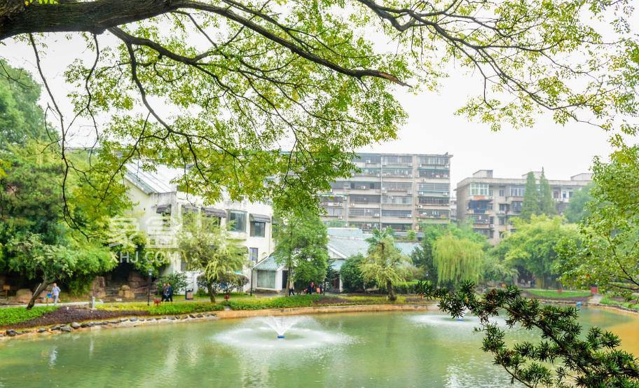 【夏日安家节】桂花公园简约风格中小户型，东塘高桥双商圈环绕性价高