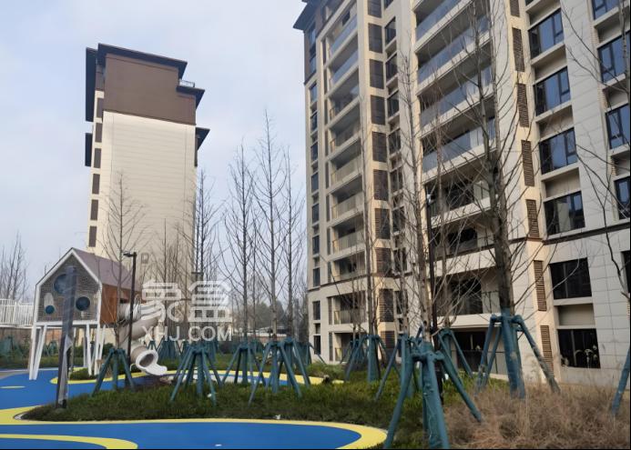 总建面百万方！植物园板块大型次新小区，低密高绿化、均价9字头！--红星天铂