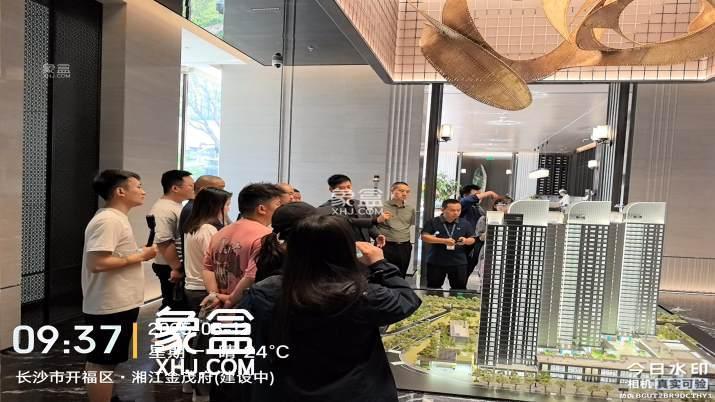 【在售】湘江金茂府在售非毛坯住宅
