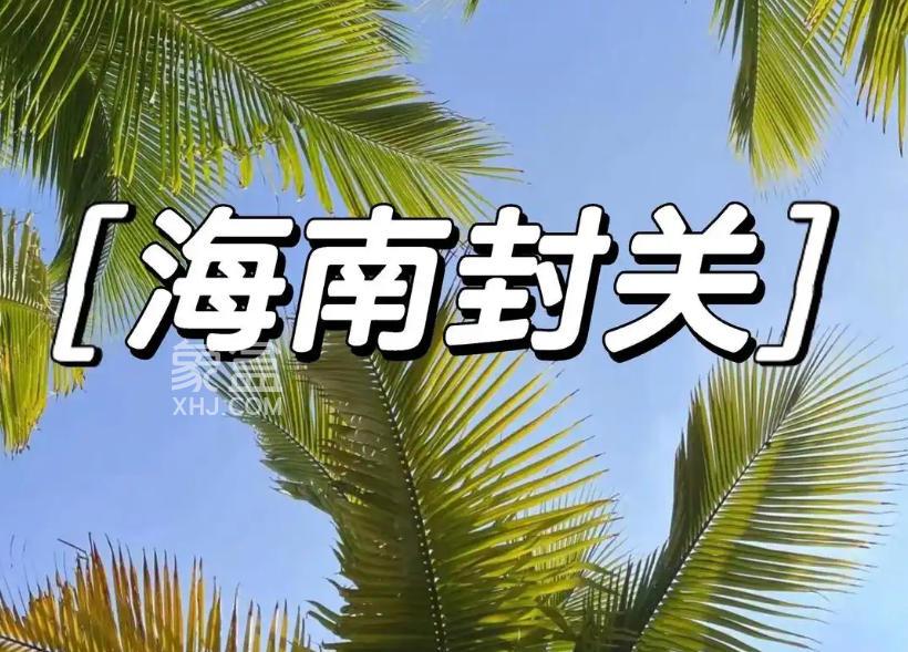 智慧赋能新标杆：海南自贸港封关运作的监管创新实践