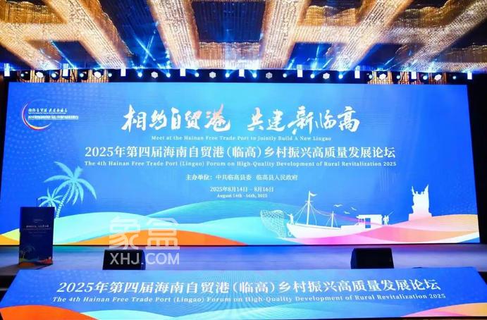 战略价值：县域经济2.0的时代坐标