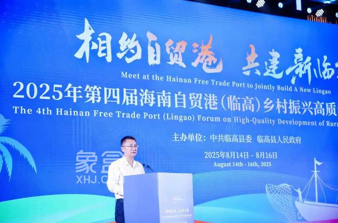 战略价值：县域经济2.0的时代坐标