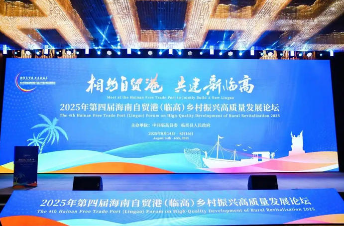 战略价值：县域经济2.0的时代坐标