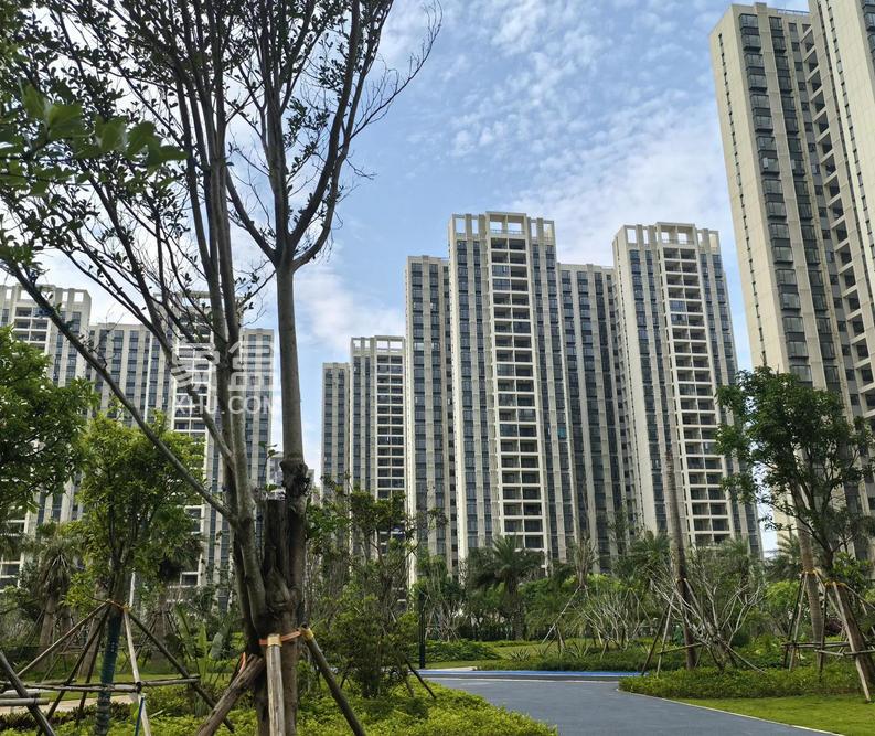 制度破壁：海南房地产分类标准取消的深层变革