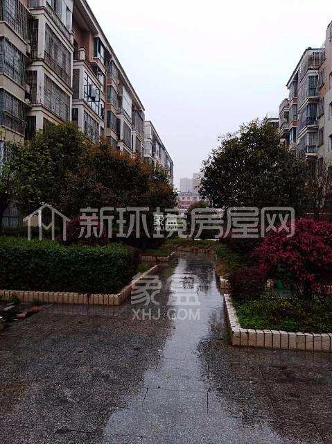 加州阳光小区小区测评:加州阳光小区泽怎么样 加州阳光小区小区测评:加州阳光小区泽怎么样