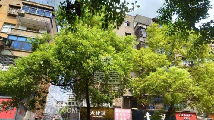 大同花苑小全方位解析：超高性价比小区