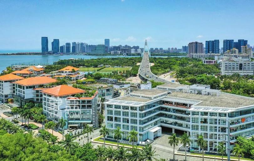 金融服务专窗：架起政银企"连心桥"