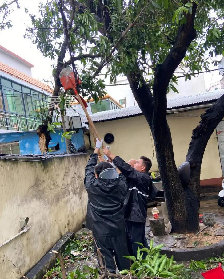 三亚开通维修资金绿色通道 加速台风灾后住宅修复‌