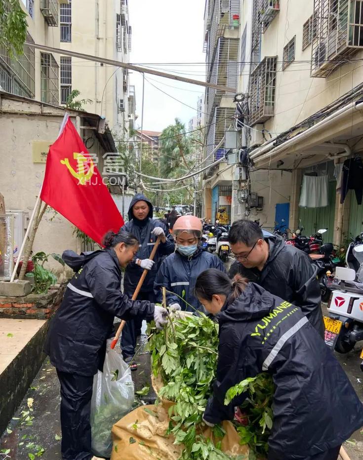 三亚开通维修资金绿色通道 加速台风灾后住宅修复‌