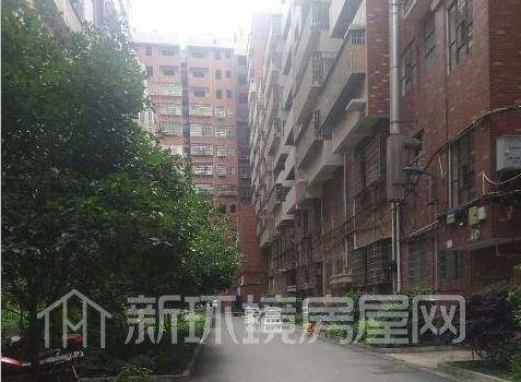 南珠苑小区测评：配套完善的娄星区改善型住宅