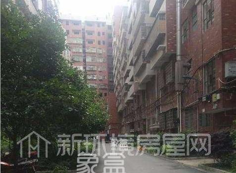 南珠苑小区测评：配套完善的娄星区改善型住宅