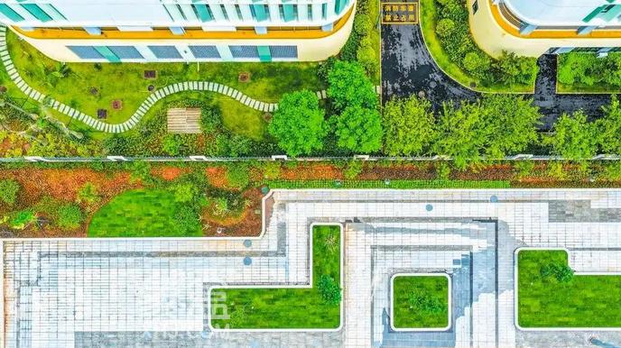 方寸之间见幸福：海口微更新绘就城市温度新图景