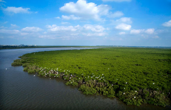 分类施策：海口三湾的差异化美丽海湾建设路径