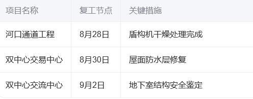 三亚中央商务区：台风过境后的72小时重建攻坚战‌