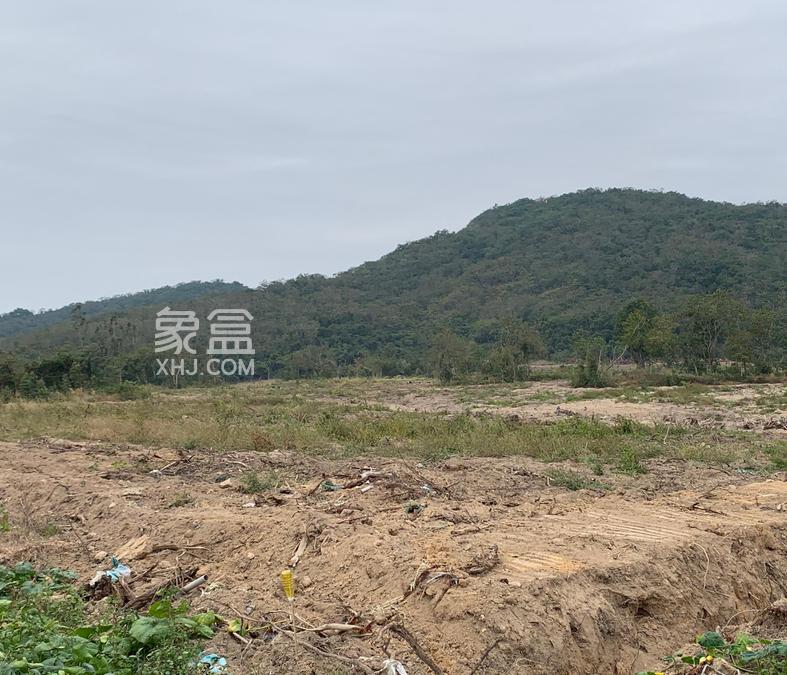 唤醒沉睡土地：海南19万亩闲置地的转型之路