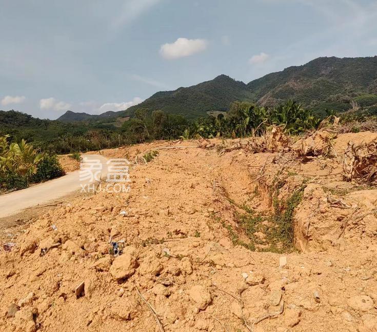 唤醒沉睡土地：海南19万亩闲置地的转型之路