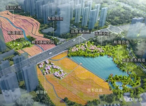 望城将新建一座稻田公园！在都市高楼也能欣赏田园风貌！